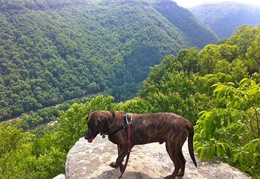 Pixel above New River Gorge